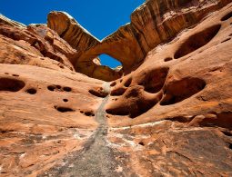 desert-1730077_1280